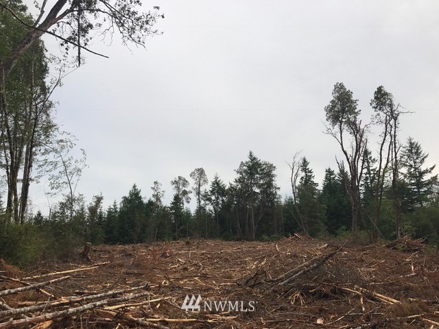 17704 Rouse Road Southwest Longbranch, WA 98351 - Photo 1 of 12