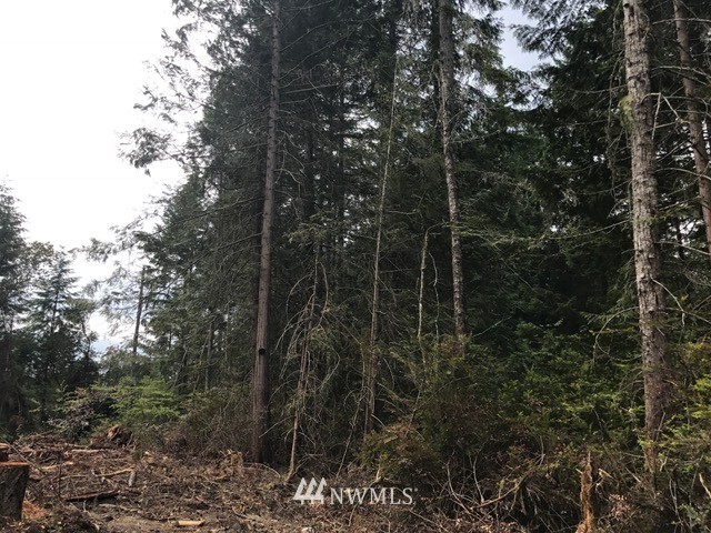 17704 Rouse Road Southwest Longbranch, WA 98351 - Photo 3 of 12
