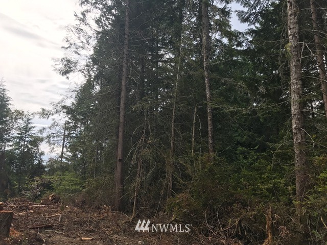 17704 Rouse Road Southwest Longbranch, WA 98351 - Photo 4 of 12