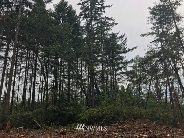 17704 Rouse Road Southwest Longbranch, WA 98351 - Photo 6 of 12