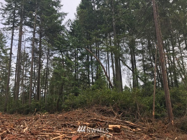 17704 Rouse Road Southwest Longbranch, WA 98351 - Photo 8 of 12