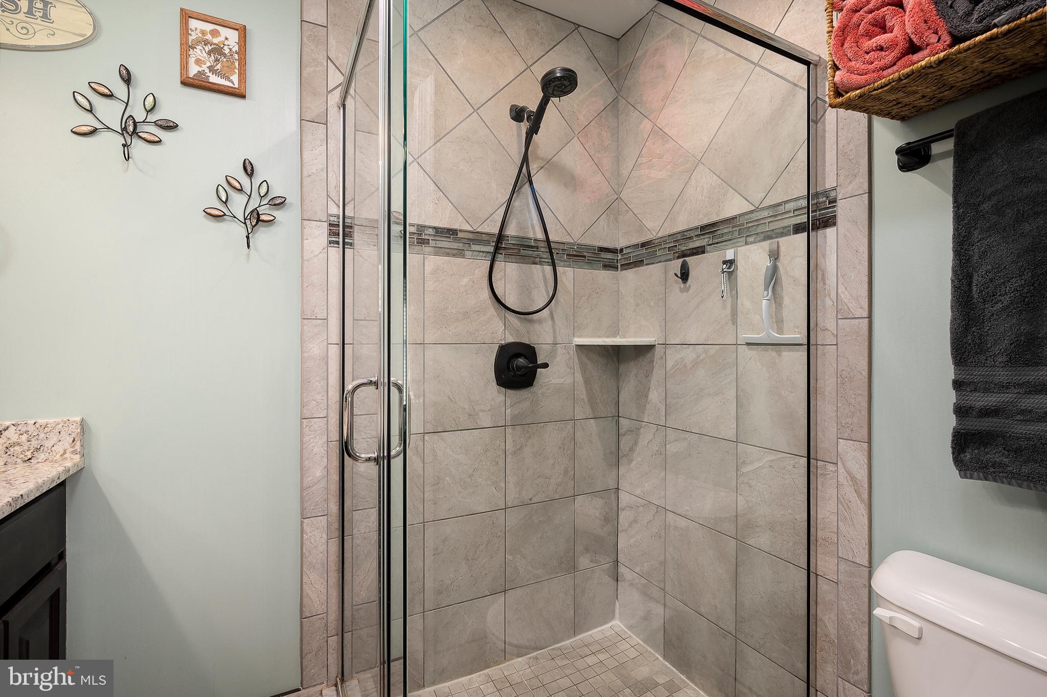 123 Washington Street Edgewater, MD 21037 - Photo 14 of 36 Primary Bathroom Shower