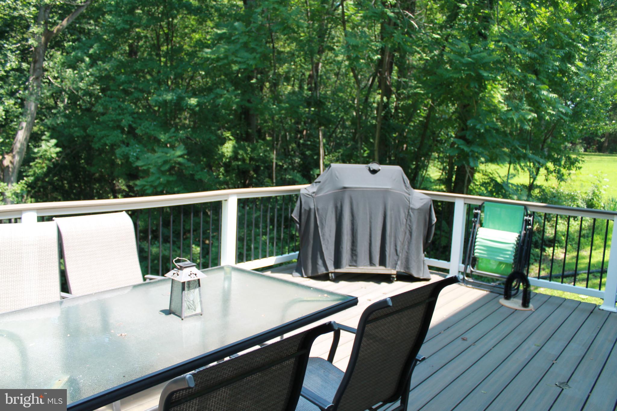 9391 Caledon Road King George, VA 22485 - Photo 20 of 54 deck perfect for outdoor dining