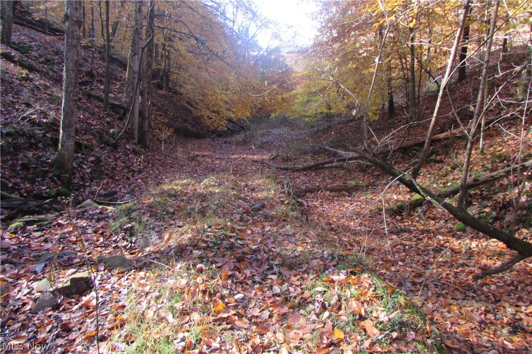 Racy Road Petroleum, WV 26161 - Photo 13 of 16