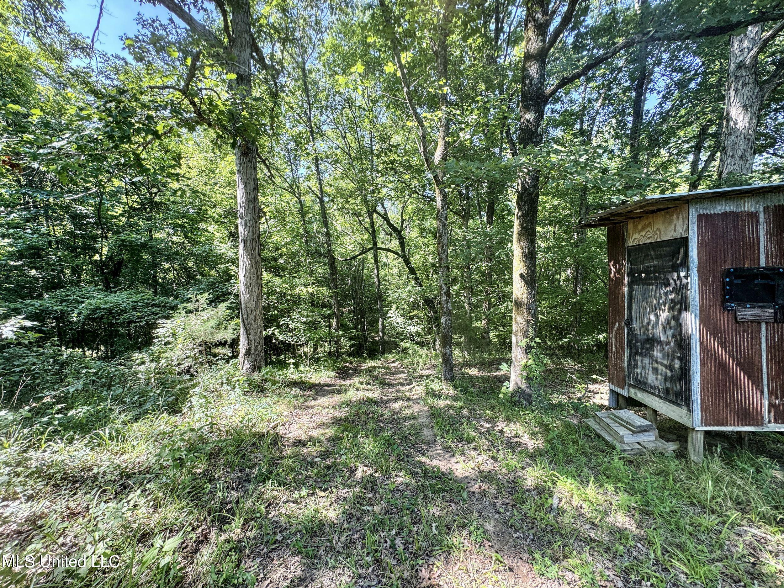 3239 Mudline Road Oakland, MS 38948 - Photo 163 of 191 3crmdl135