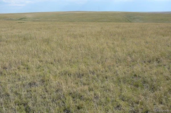 $4,026,000 | 2215 Cr 269 Deer Trail, Deer Trail, CO 80105