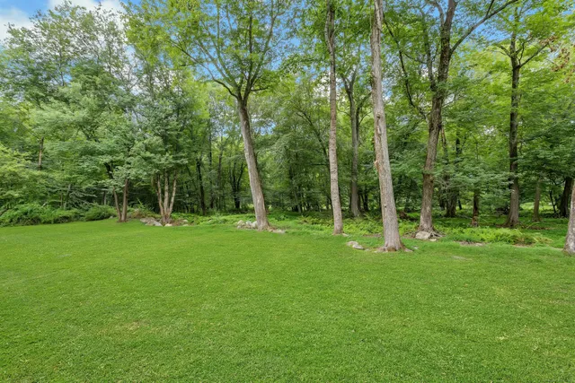 a view of backyard with green space