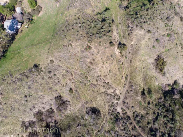a view of a yard with plants