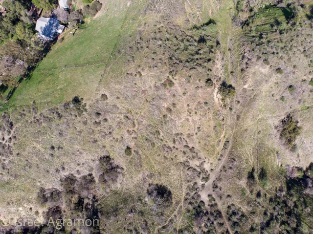 a view of a dry yard with lots of bushes