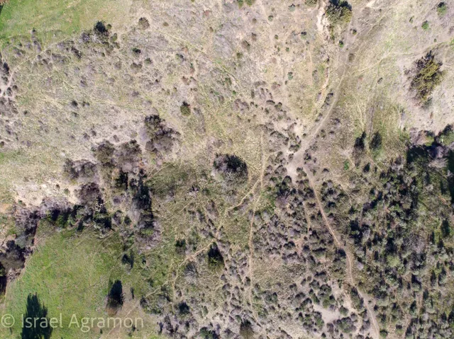 a view of a yard with a yard