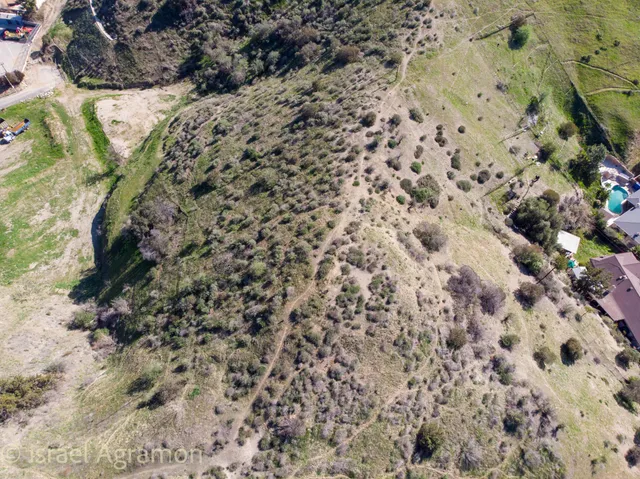 a view of a forest with trees