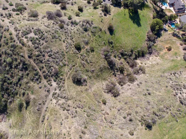 a view of a dry yard