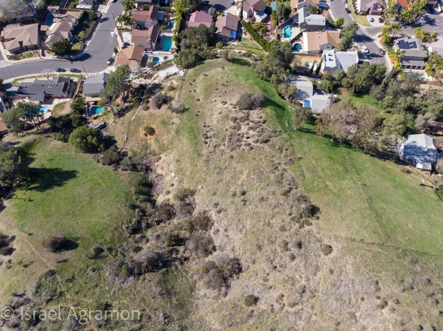 a view of a yard with trees