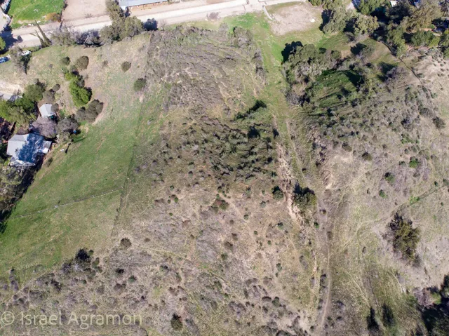 a view of a yard with a yard