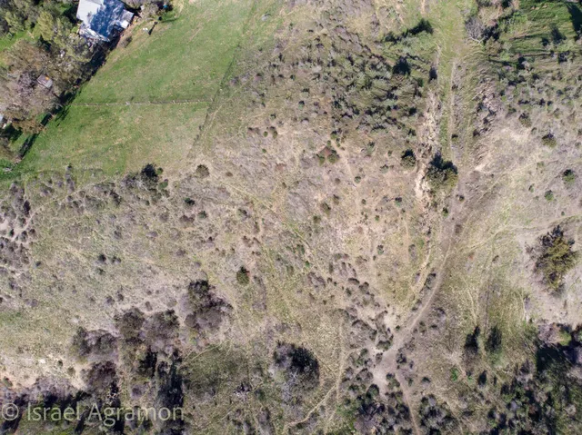 a view of a dry yard