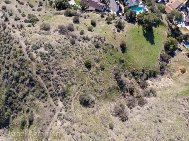 a view of a yard with plants
