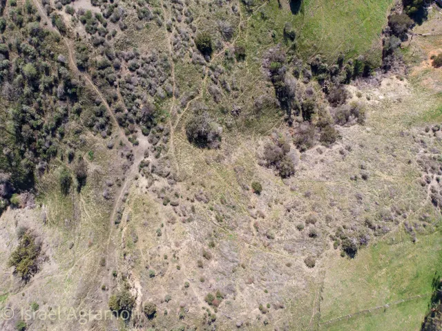 a view of a dry yard