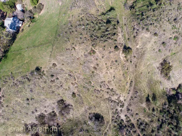 a bathroom with a shower curtain