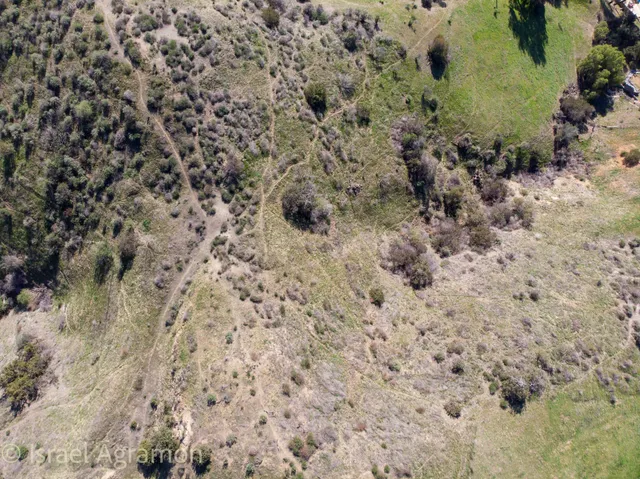 a view of a dry yard