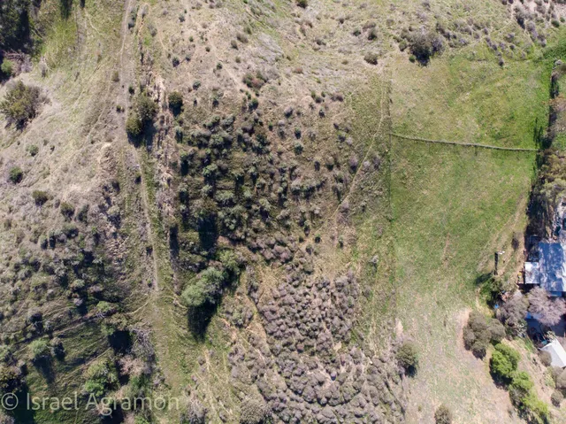 a view of a dry yard with lots of bushes
