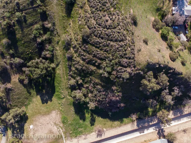 a view of a yard with plants