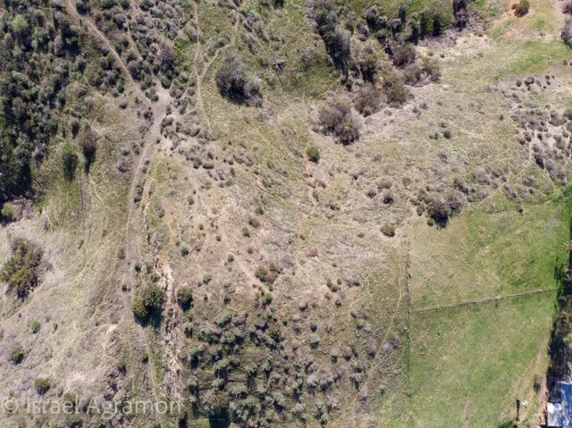 a view of a yard with plants