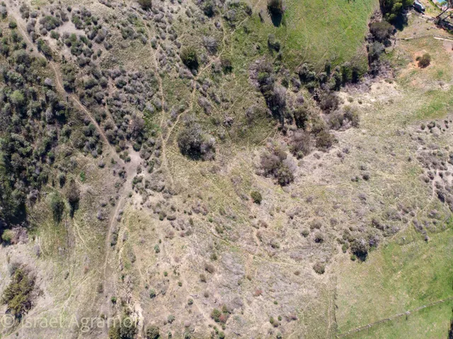 a bathroom with a shower curtain