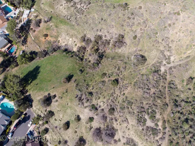 a view of a yard with a tree