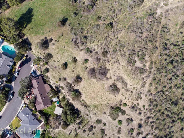 a view of a yard with yellow plants