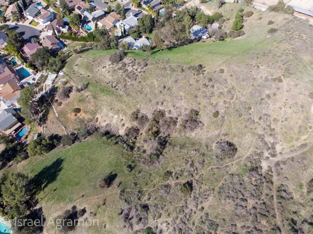 a view of a yard with plants