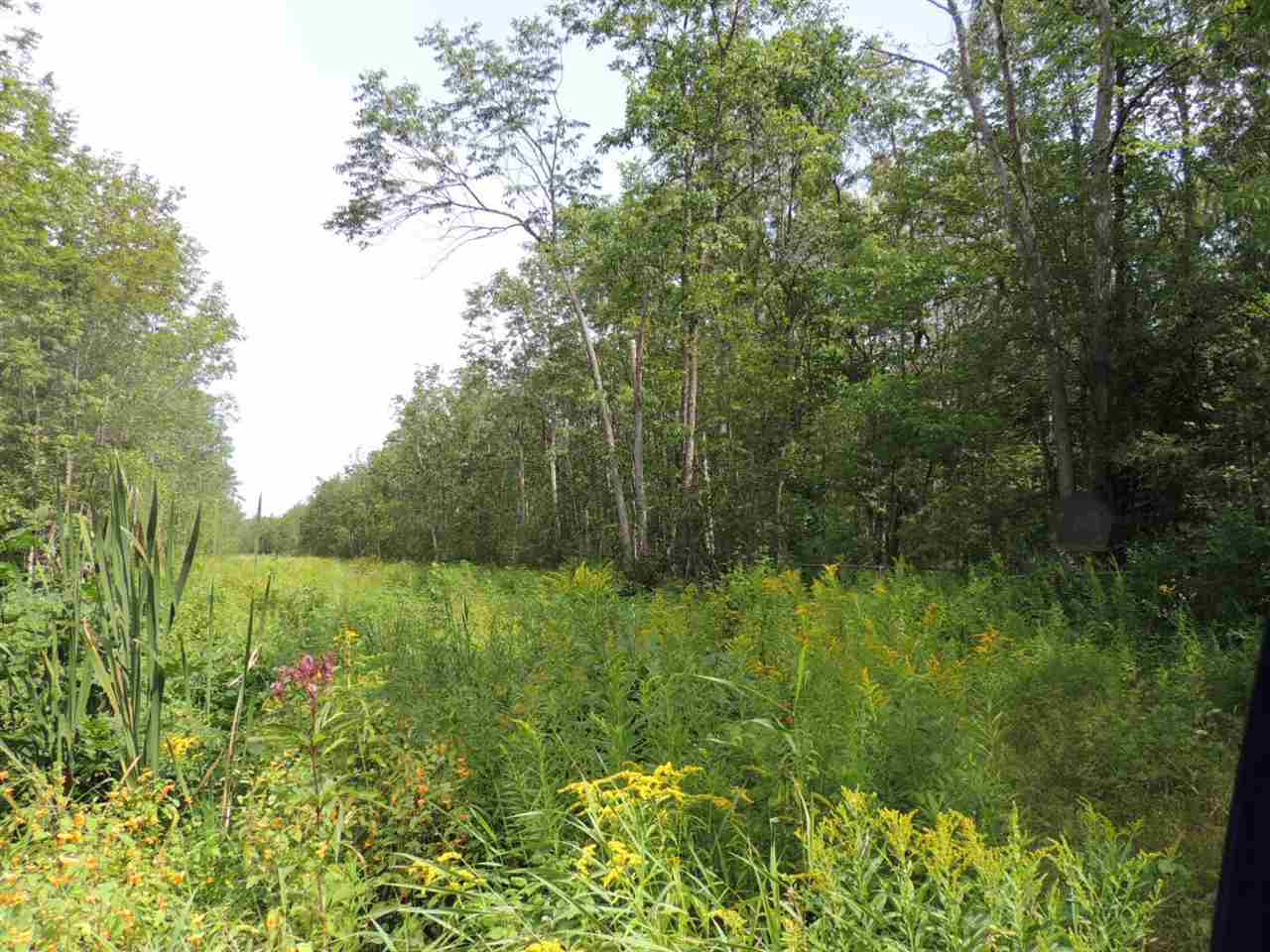 On Western Road Antigo, WI 54409 - Photo 1 of 1