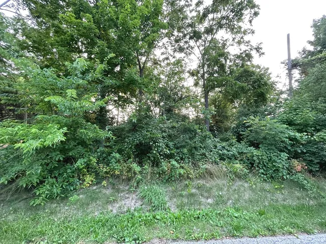 an aerial view of residential house with outdoor space and trees all around