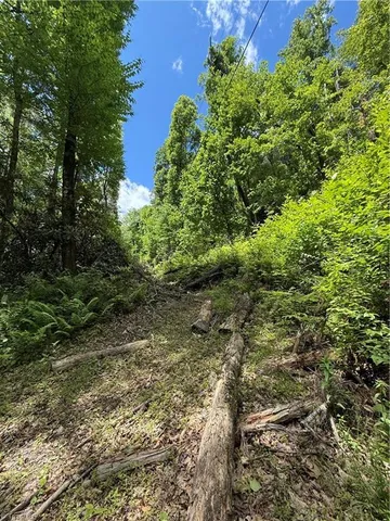 $29,900 | Tbd Water Fall Road, Millers Creek, NC 28651