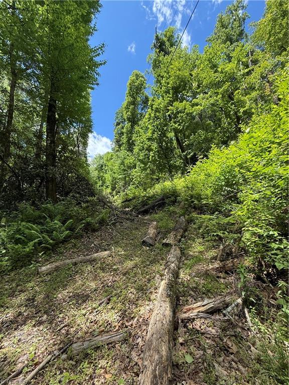 Tbd Water Fall Road Millers Creek, NC 28651 - Photo 14 of 19
