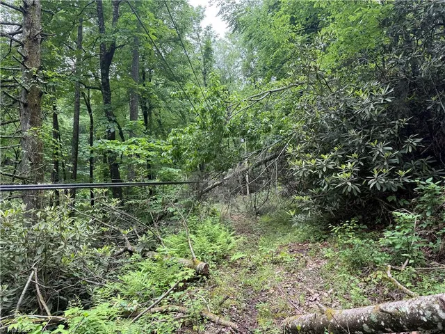 $29,900 | Tbd Water Fall Road, Millers Creek, NC 28651
