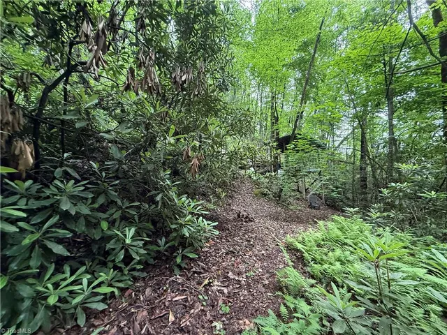 $29,900 | Tbd Water Fall Road, Millers Creek, NC 28651