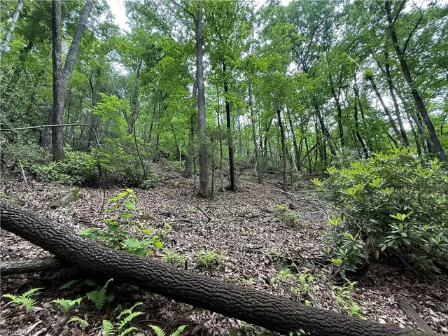 $29,900 | Tbd Water Fall Road, Millers Creek, NC 28651