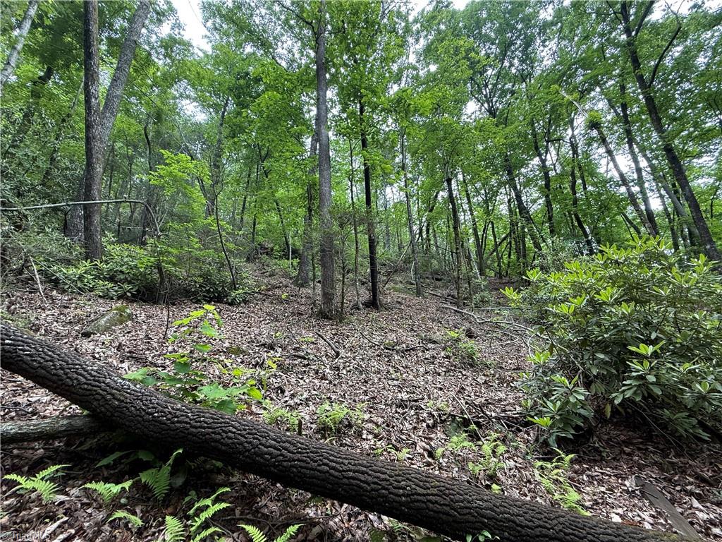 Tbd Water Fall Road Millers Creek, NC 28651 - Photo 18 of 19