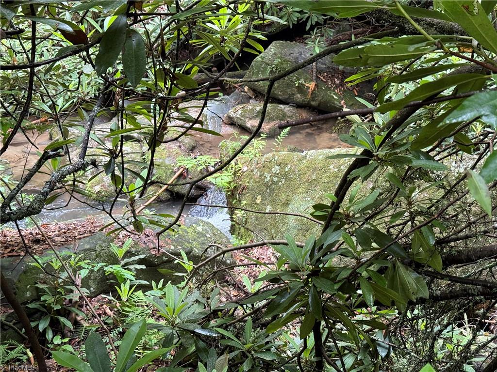 Tbd Water Fall Road Millers Creek, NC 28651 - Photo 4 of 19