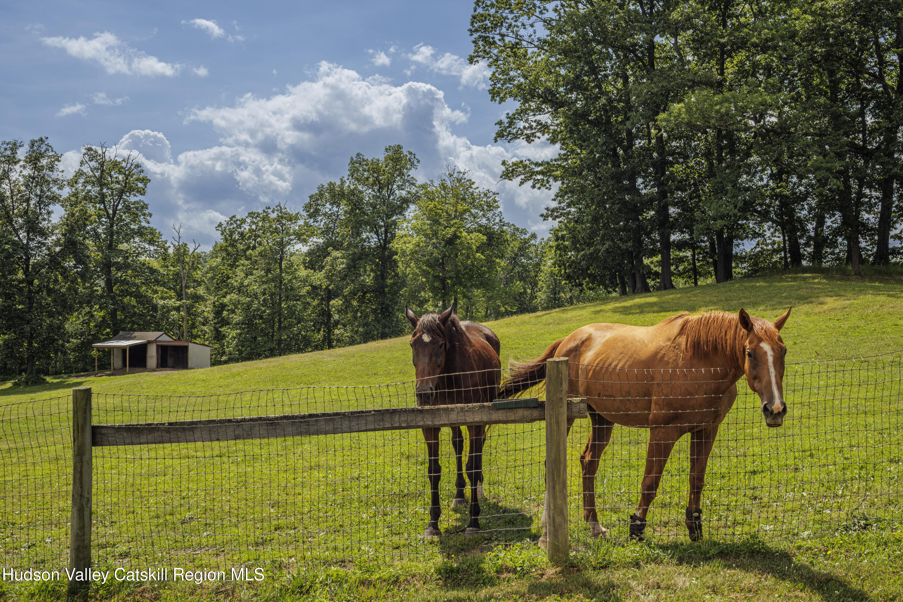 48 County Rte 14, Unit NONE Hudson, NY 12534 - Photo 48 of 48 Alon-Koppel-Photography-IMG_3068