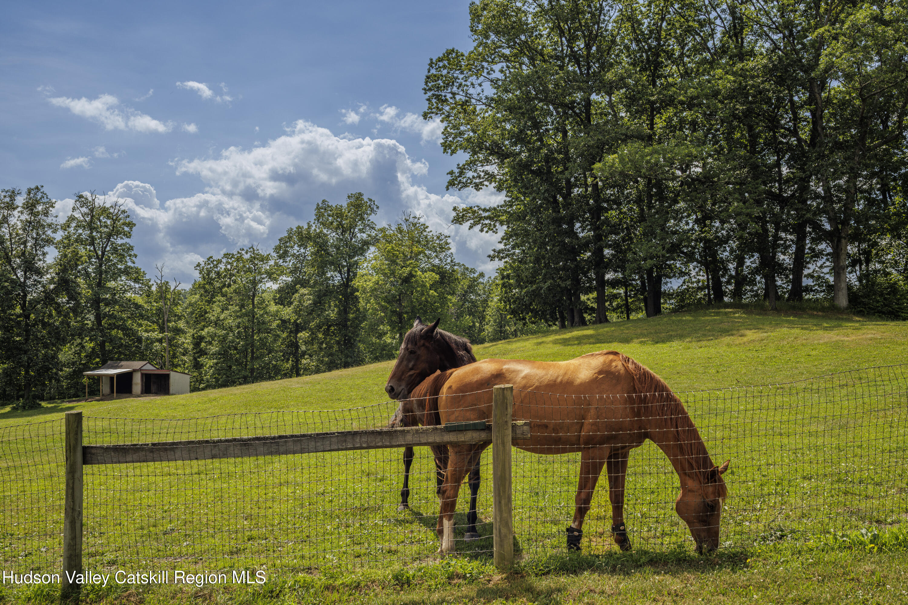 48 County Rte 14, Unit NONE Hudson, NY 12534 - Photo 9 of 48 Alon-Koppel-Photography-IMG_3066