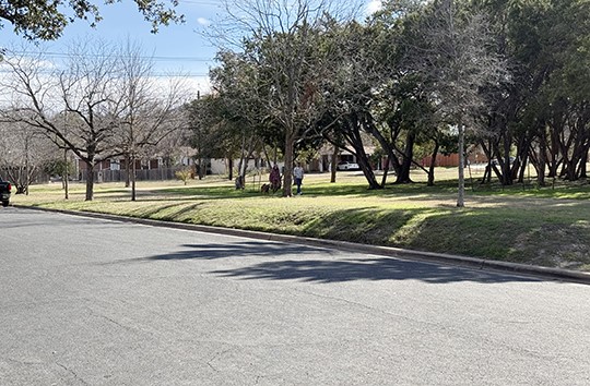 2520 South 6th Street Austin, TX 78704 - Photo 12 of 12 Park View from front yard