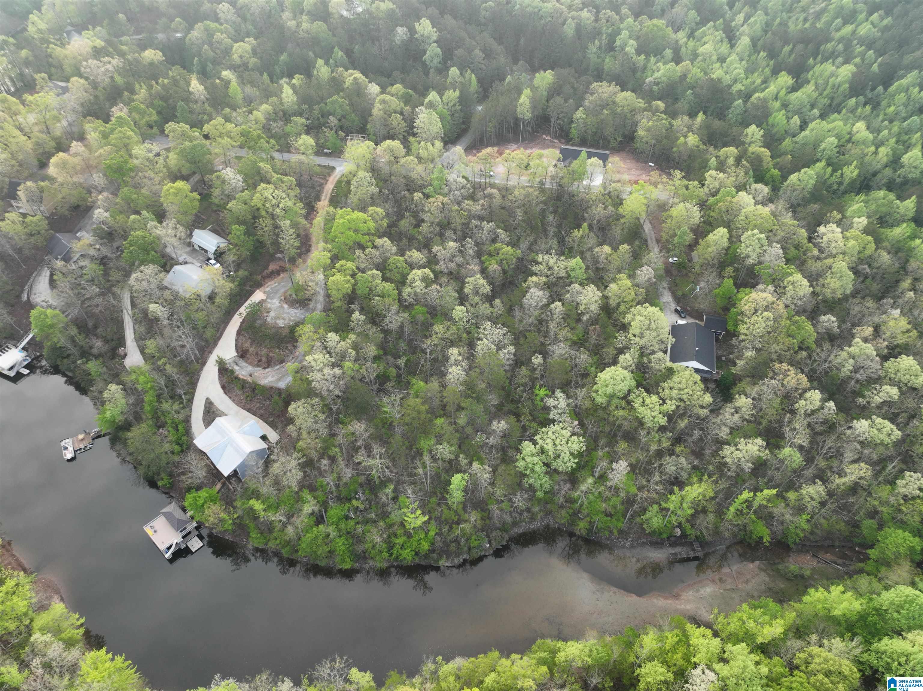 Lot 5 Dogwood Ridge, Unit LOT 5 Wedowee, AL 36278 - Photo 7 of 12