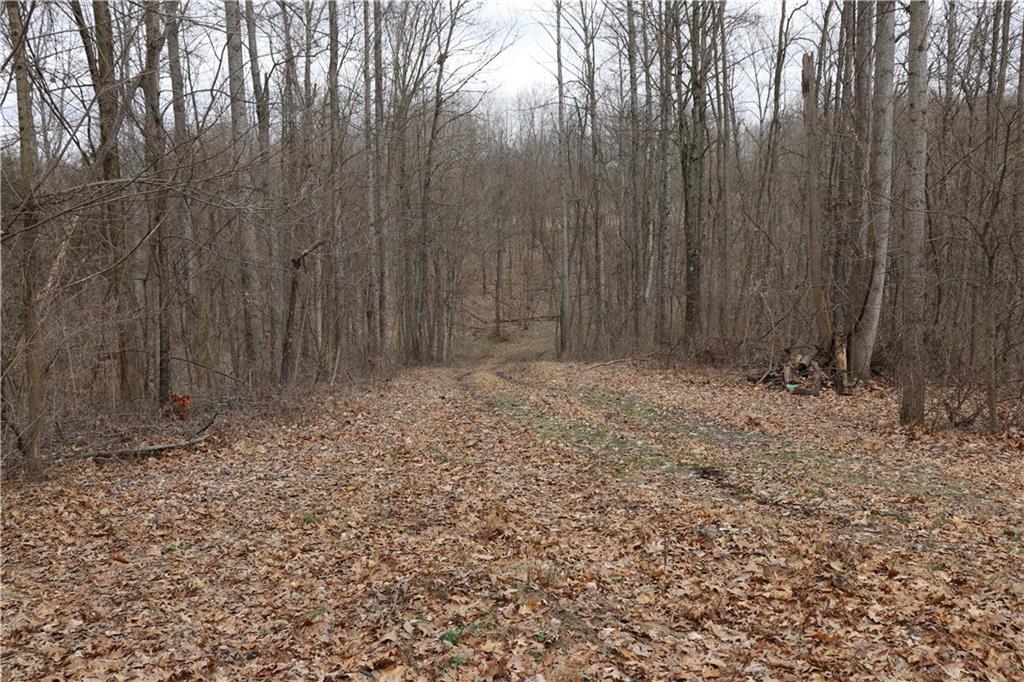 7149 Webber Road Metamora, IN 47030 - Photo 16 of 16 Gallery Image 16