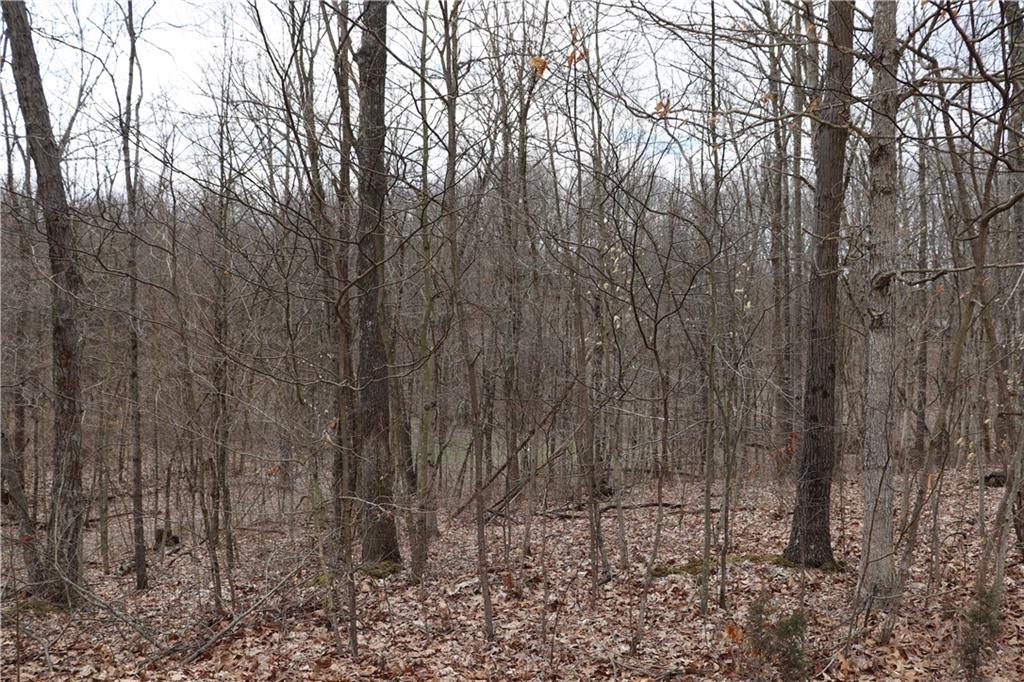 7149 Webber Road Metamora, IN 47030 - Photo 7 of 16 Gallery Image 7