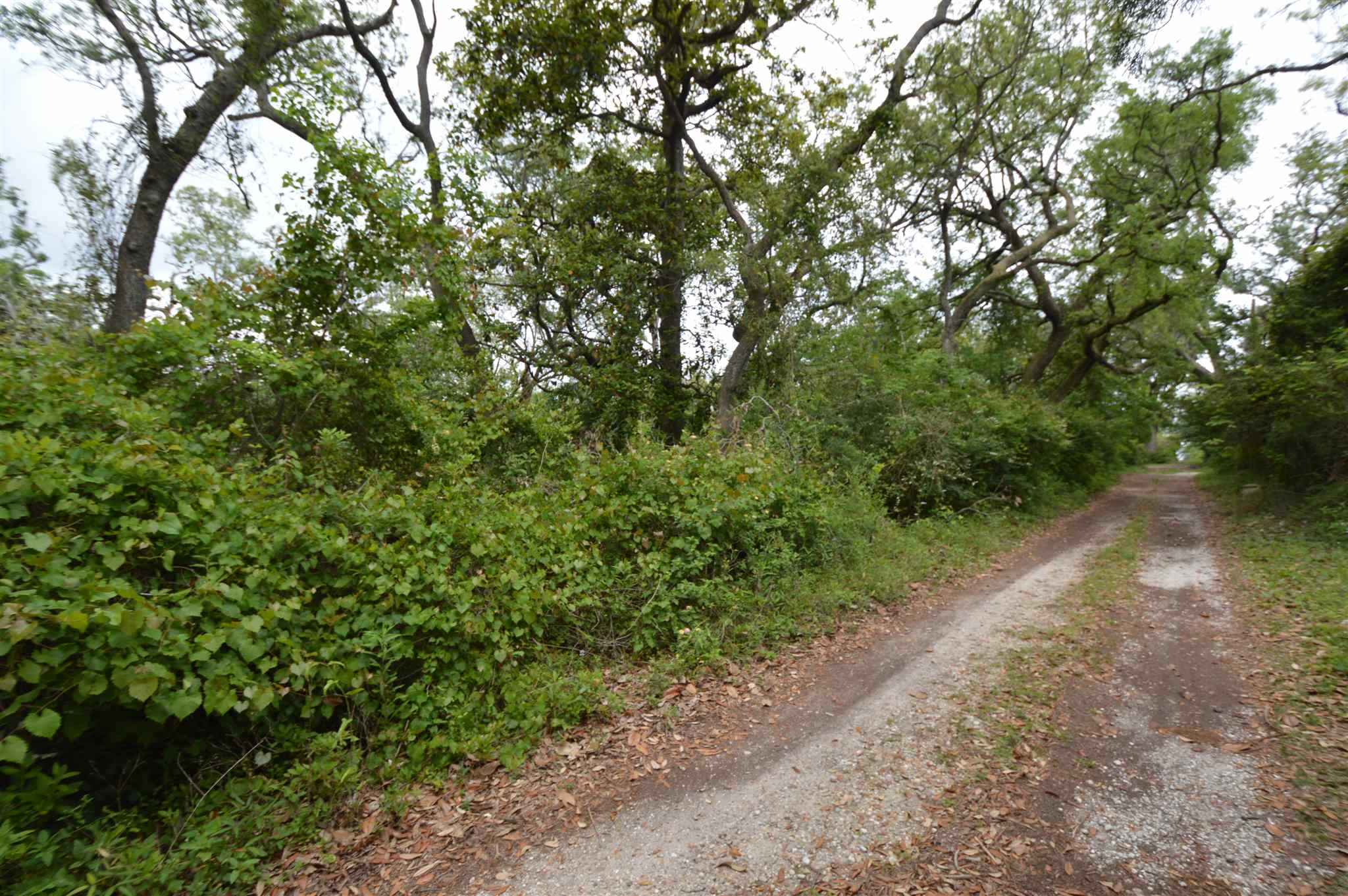 0 Coyle Lane Lillian, AL 36549 - Photo 1 of 5 Property on the Left
