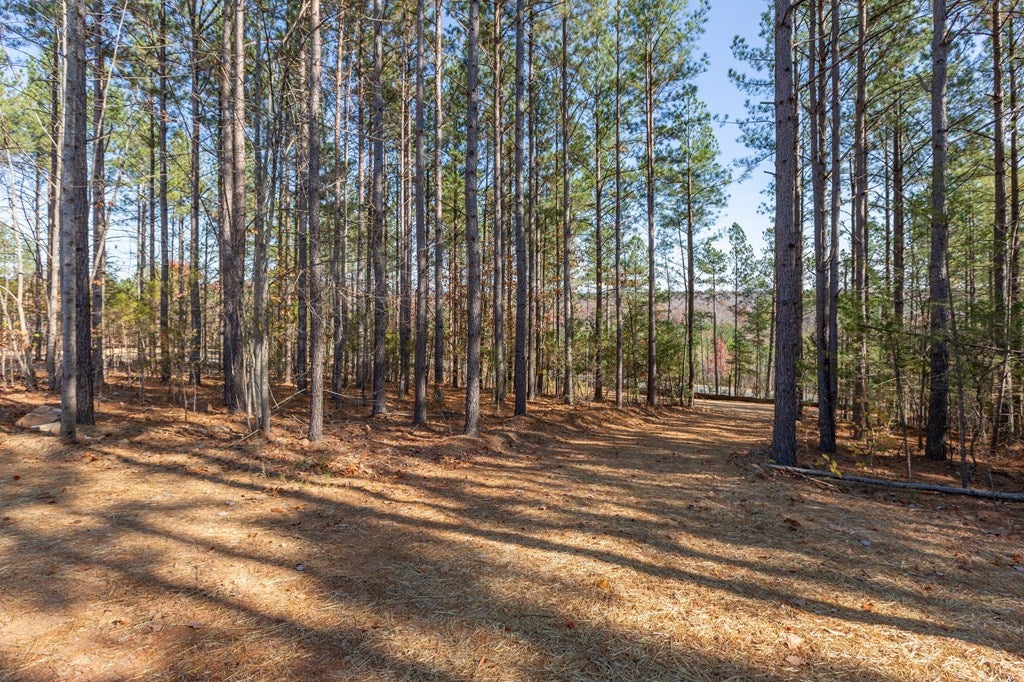 2243 Meherrin Road Meherrin, VA 23954 - Photo 21 of 50 Gallery Image 21