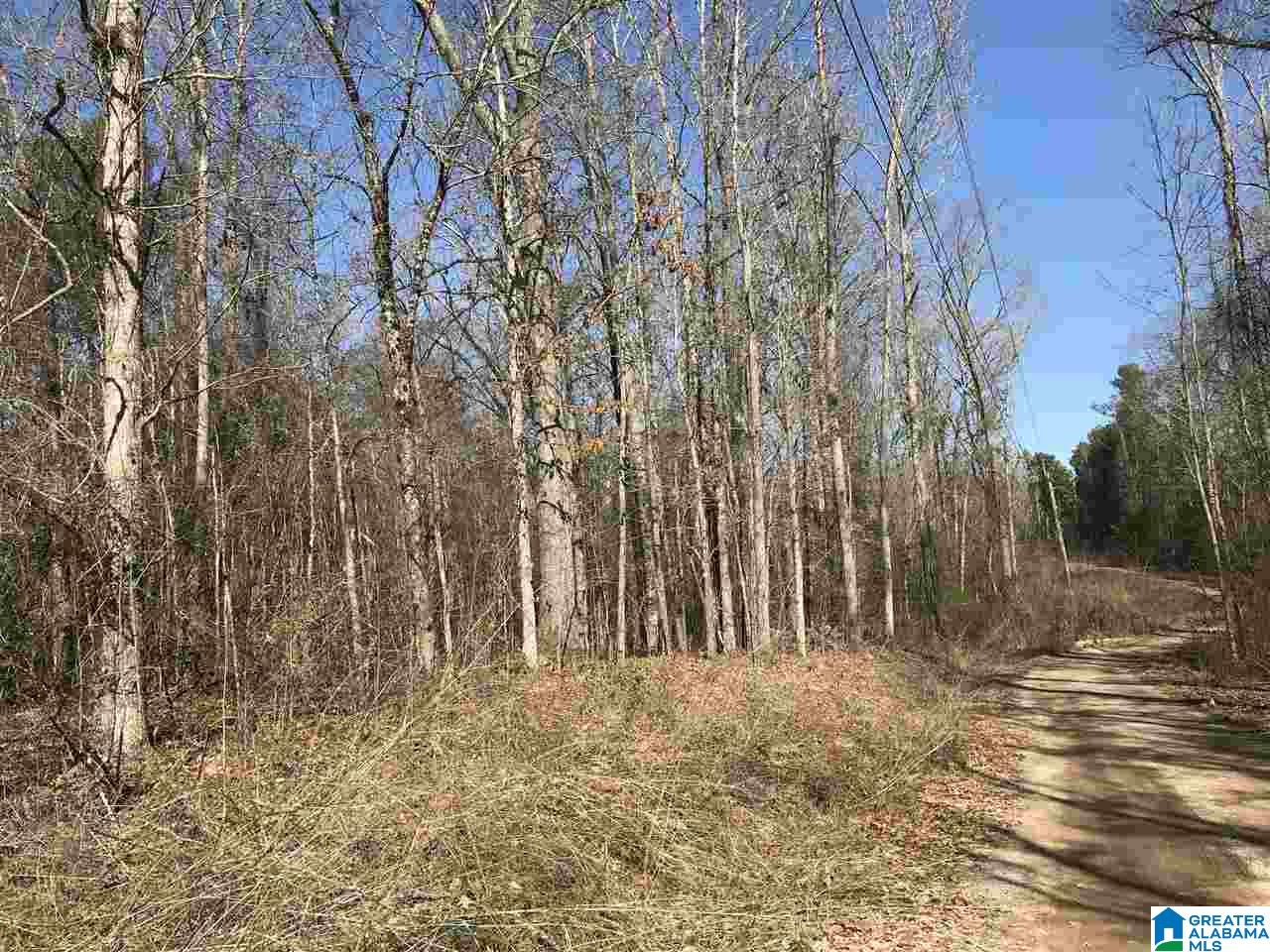 8020 Stemley Bridge Road, Unit PARCEL Talladega, AL 35160 - Photo 2 of 6