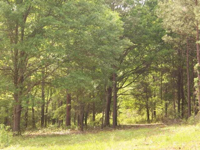 1550 Harmony Church Road Monroe, GA 30655 - Photo 1 of 1