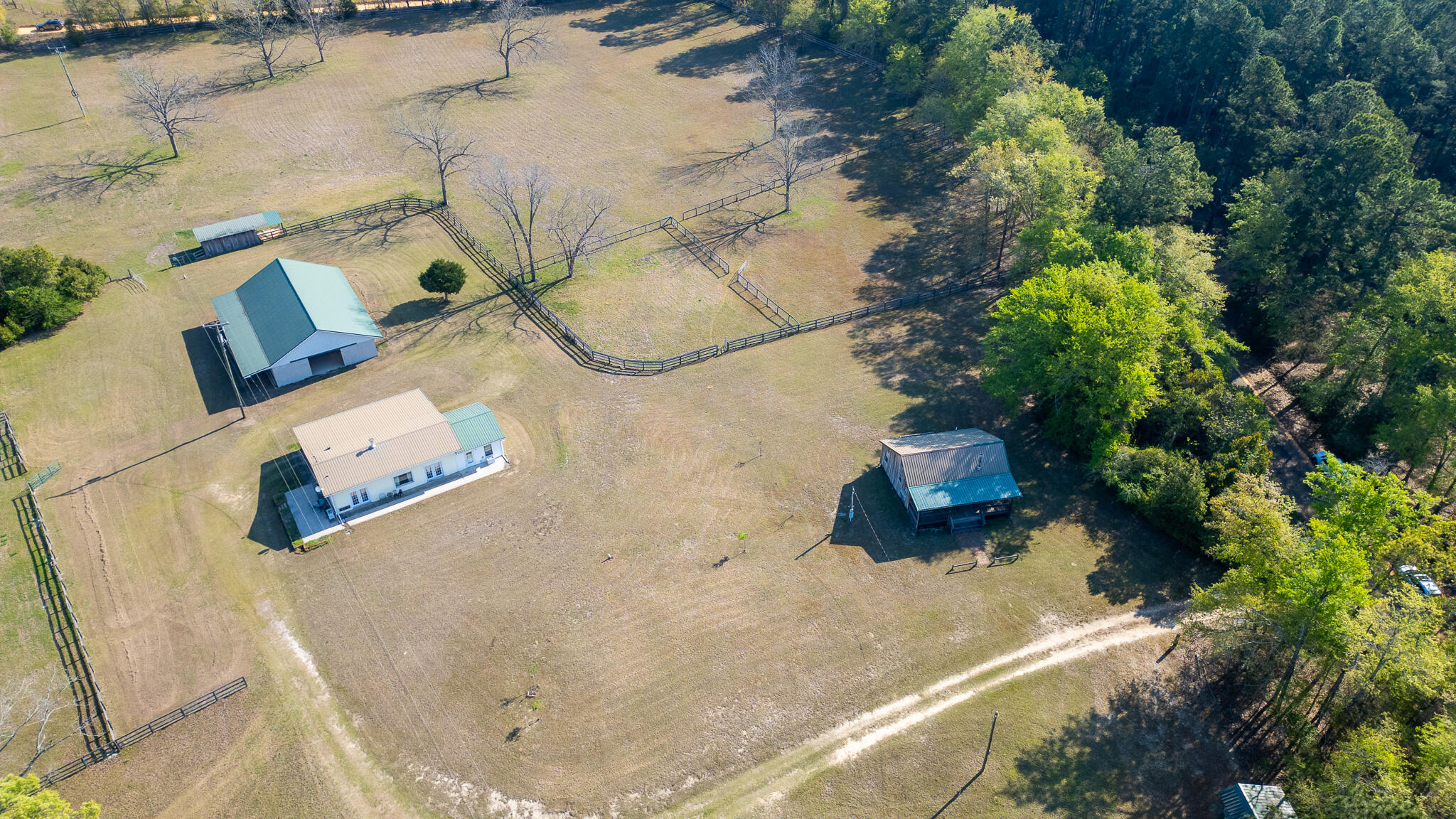 252 Moseley Road Williston, SC 29853 - Photo 56 of 64